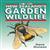 All About New Zealand's Garden Wildlife