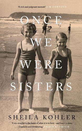 when we were sisters a novel when we were sisters a novel