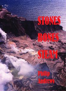Stones Bones Steam