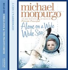 Alone on a Wide Wide Sea