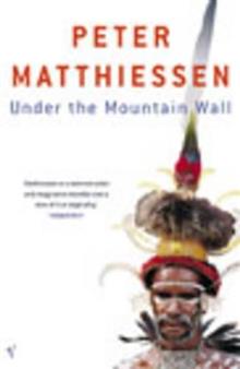 Under the Mountain Wall
