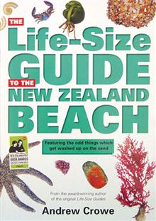 The Life-size Guide to the New Zealand Beach