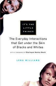 It's the Little Things: The Everyday Interactions That Get under the Skin of Blacks and Whites