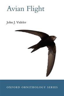 Avian Flight
