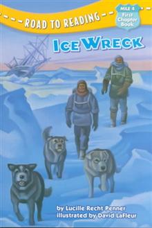 Ice Wreck
