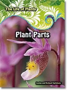 Plant Parts