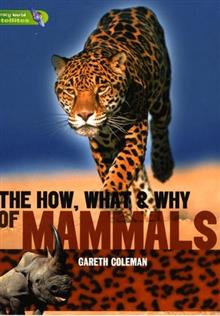 Literacy World Satellites Non Fiction Stage 3 the How, What and Why of Mammals
