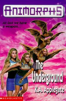 The Underground