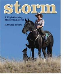 Storm: A High Country Mustering Horse