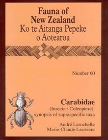 Carabidae (Insecta:Coleoptera): Synopsis of Supraspecific Taxa