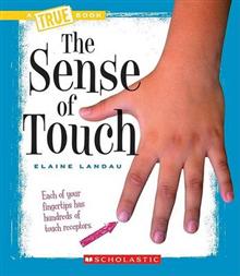 The Sense of Touch