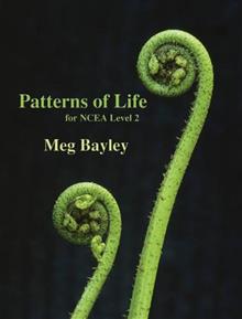 Patterns of Life - NCEA Level 2