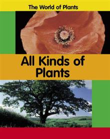 All Kinds of Plants