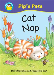 Cat Nap