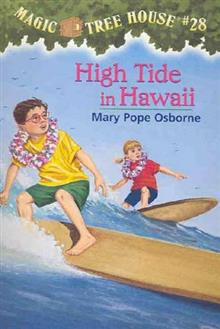 High Tide in Hawaii