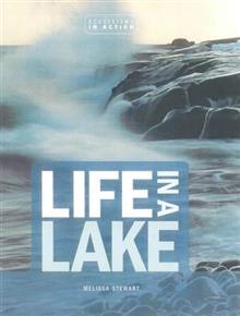 Life in a Lake