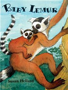 Baby Lemur