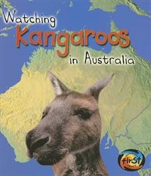 Watching Kangaroos in Australia