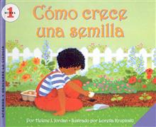 Como Crece Una Semilla