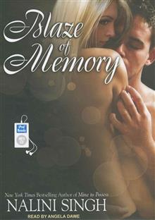 Blaze of Memory