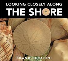 Looking Closely Along the Shore