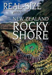 Real-size Guide to the NZ Rocky Shore