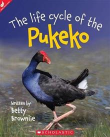 The Life Cycle of the Pukeko