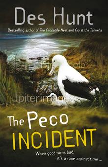 The Peco Incident