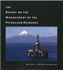 The Report on the Management of the Petroleum Resource