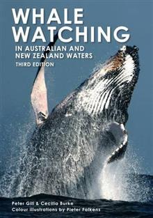 Whale Watching in Australia and New Zealand Waters