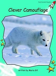 Clever Camouflage: Fluency: Level 2