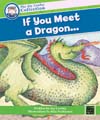 If You Meet a Dragon - Big Book
