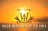 Nga Waiata O Te Iwi (DVD Series 1)