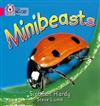 Minibeasts: Band 01a/Pink A