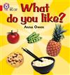 What Do You Like?: Band 02b/Red B