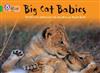Big Cat Babies: Band 05/Green