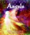Evidence of Angels