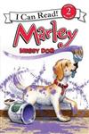 Marley: Messy Dog