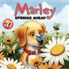 Marley Springs Ahead