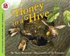Honey in A Hive