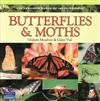 Butterflies & Moths