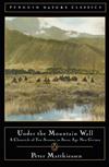 Under the Mountain Wall