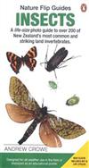 Insects: A Life-Sized Photo Guide to Over 200 of New Zealand's Most Common and Striking Land Invertebrates