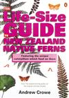 Life-size Guide to New Zealand Native Ferns: Featuring the Caterpillars Which Feed on Them