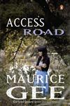 Access Road