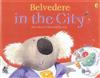 Belvedere in the City