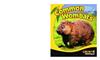 Common Wombats