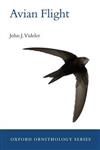 Avian Flight