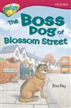 Oxford Reading Tree: Stage 10: TreeTops Fiction: Pack of 6 (1 of Each Title)