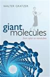 Giant Molecules: From Nylon to Nanotubes